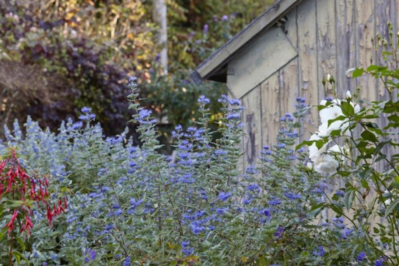 Lavender Cottage ビール エクステリア 写真